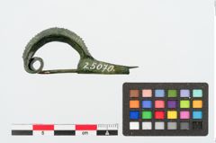 Foto von Bronzesanguisugafibel (NHMW-PRAE-025070)